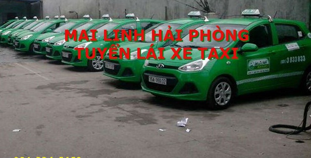 Mai Linh Hải Phòng Tuyển Lái Xe Taxi 2017