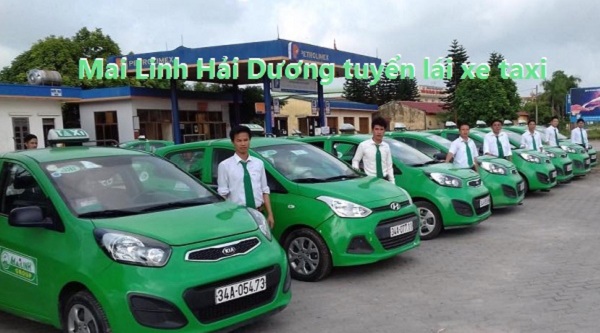 Tuyển Lái Xe Taxi Mai Linh Hải Dương 2017